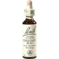 Bach-Blüte Chestnut Bud Tropfen